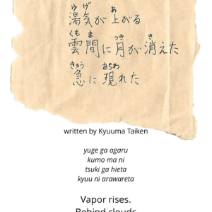 in an Onsen high above Nikko I composed a haiku